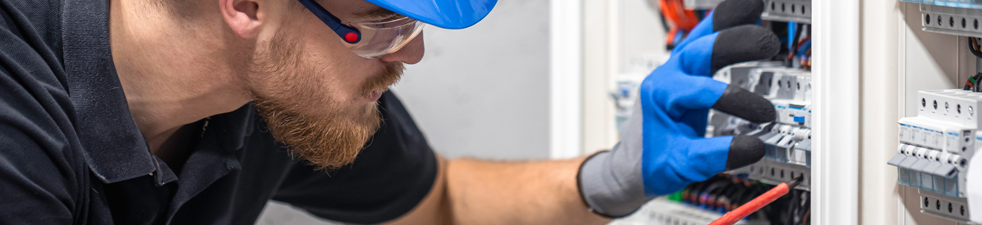 Trades & Apprenticeships 