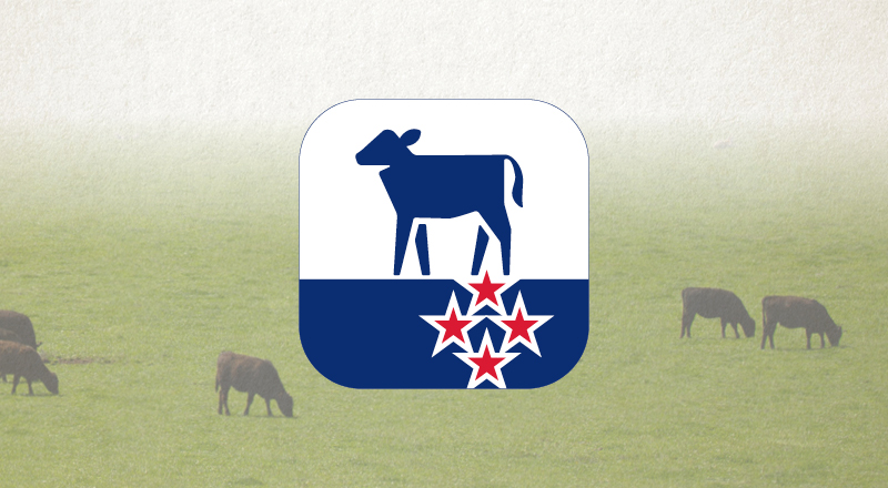 AFFJ201453 Website Image 600X330px Bobby Calf FA