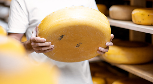 AFFCO Products Renco Istock 1076514710 600X330