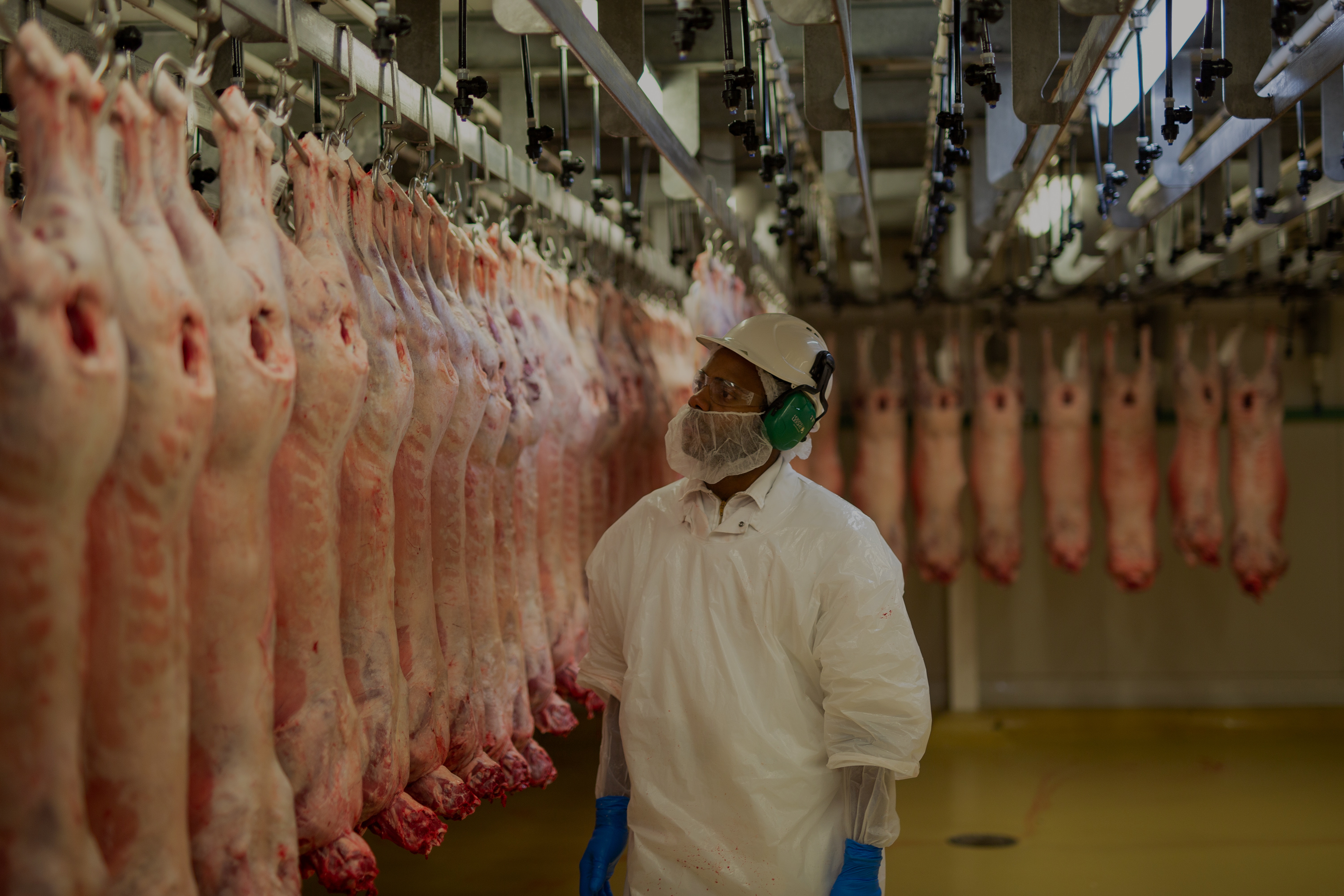 Process Worker Affco New Zealand